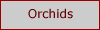 Orchideen